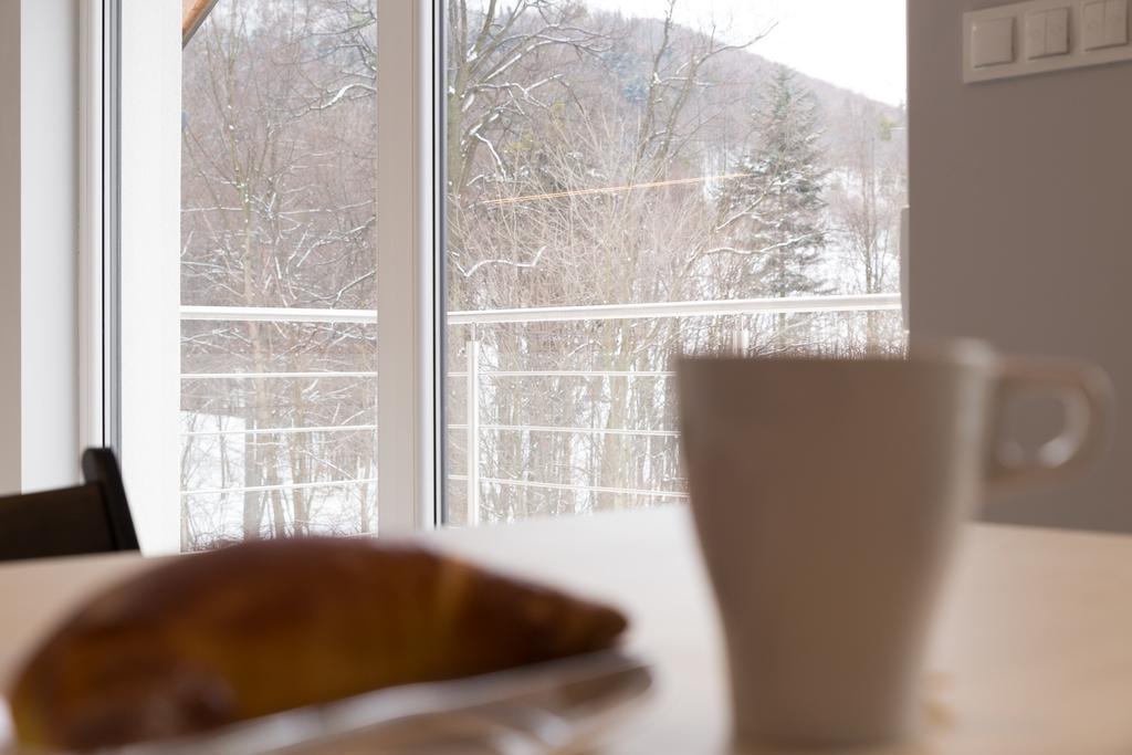 Apartamenty Nad Potoczkiem Ustron Extérieur photo